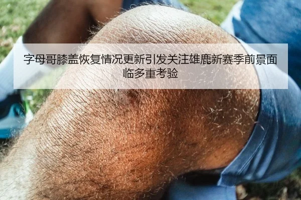 字母哥膝盖恢复情况更新引发关注雄鹿新赛季前景面临多重考验
