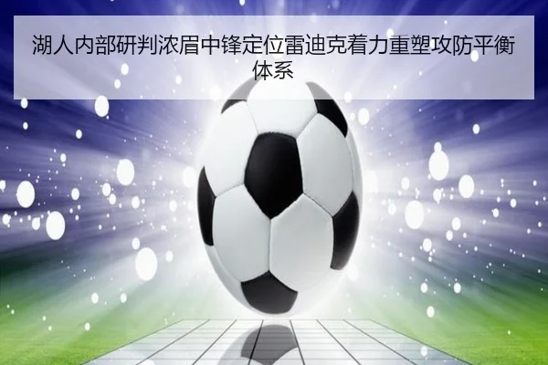 湖人内部研判浓眉中锋定位雷迪克着力重塑攻防平衡体系